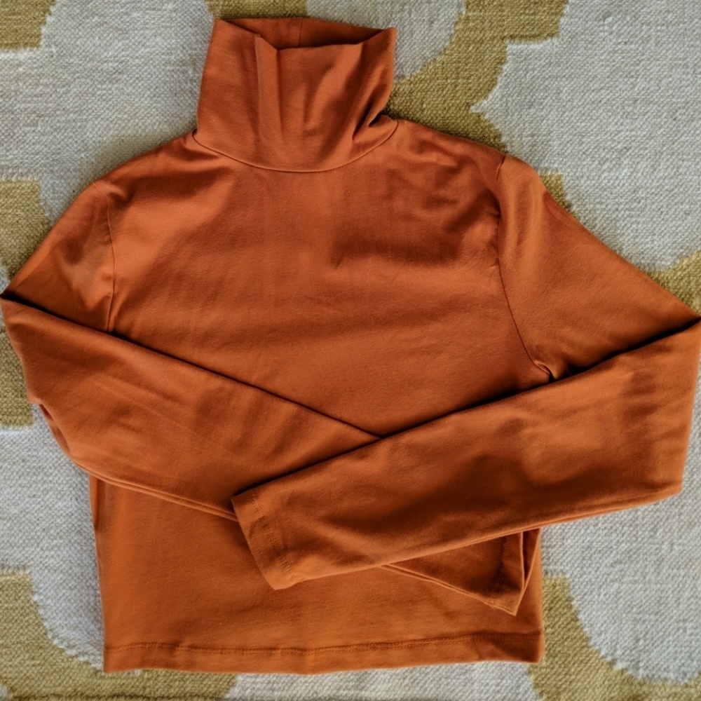 Pumpkin spice colored crop turtleneck